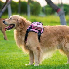 Ondoing Dog Backpack