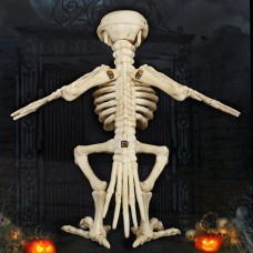 Skeleton Raven Animal Skeletons for Halloween Decorations