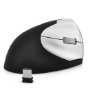 Ergonomic Wireless Mouse "Ergo" - 1600DPI, USB Charger