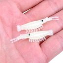 Plastic Fishing Soft Shrimp Lures Luminous Baits Glow Bait 100pcs/lot
