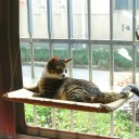 The Original Sunny Seat Window Mounted Cat Bed cat  hammock new