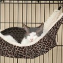Popular Warm Cat Bed Pet Hammock For Pet Cat Rest Cat House Soft Comfortable