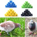 1-100 Numbered Poultry Leg Bands Bird Pigeon Parrot Chicks Rings 100pcs