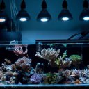 Beautiful Aquarium Lamp 36 W Coral Reef  Grow Light  Fish Tank LED 12 Beads