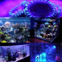 Beautiful Aquarium Lamp 36 W Coral Reef  Grow Light  Fish Tank LED 12 Beads