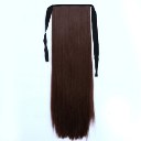 Wig Tie On Ponytail Banded Straight Hair Wig 33J