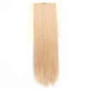 Wig Tie On Ponytail Banded Straight Hair Wig 26#