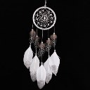 MS6006 Possession Of Silver Powder Drift Dream Net Wall Hanging Decoration
