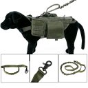 Dog Training Bungee Leash with Control Handle Quick Release Nylon Leads Rope