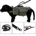 Dog Training Bungee Leash with Control Handle Quick Release Nylon Leads Rope