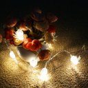 Clips String Lights 10 Beads Warm White