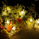 Clips String Lights 1.5Meters 10Beads Warm White