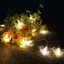 Clips String Lights 10 Beads Warm White