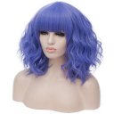 Short Curly Hair Wigs SW2101F16 Straight bluepurple