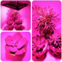 50W LED Lamp Plant Grow Light Ultra-thin Waterproof Indoor Plant Flower Growth