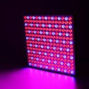 Square 45W 225 LEDs Plant Grow Light with Red Blue Spectrum Plant Hanging