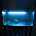 Waterproof Tube LED Aquarium Light 5050SMD Aquarium Submersible Light 28CM