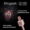 Q10S Wireless Microphone KTV Karaoke HQ Sound Wave Wall Shaking Bass