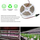 Waterproof LED Strip Light Plant Grow Lights 5050 SMD Red Blue Growing Lamp 5M