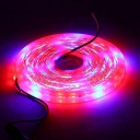 Waterproof LED Strip Light Plant Grow Lights 5050 SMD Red Blue Growing Lamp 5M