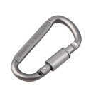 Camping Outdoor Aluminum D-Ring Screw Locking Carabiner Hook Clip Key Chain