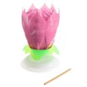 Romantic 14 Candle Musical Spinning Lotus Flower Rotating Birthday Gift Light
