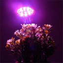 Full Spectrum E27 LED Grow Light Growing Lamp Light Bulb For Flower Plant