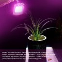 50W LED Grow Lights Full Spectrum Led COB Indoor Plant Grow Light For Garden