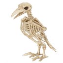 Skeleton Raven Animal Skeletons for Halloween Decorations