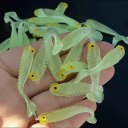5PCS 5CM Luminous Fishing Baits Lightweight Imitation Fish Lures Soft Baits