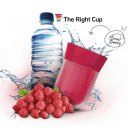 Fruit Juice Cup Summer Portable Size Cup Fruit Flavored Cup Drink Water Bottle