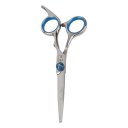 Pet Grooming Scissors Set Straight & Thinning & Curved Shears Comb Haircut