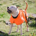 BLACKDOGGY Dog Coats Small Waterproof,Warm Outfit Clothes Dog Jackets Small,Adjustable Drawstring Warm And Cozy Dog Sport Vest-(orange,size M)