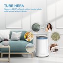 VACASSO Air Purifier for Home, True HEPA Air Cleaner Up to 540 sqft, Protect from Pollen, Dust, Pet Dander, Smoke, Quiet for Bedroom, Office, Living Room, Night Light, Ozone-free