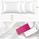 Lacette Silk Pillowcase 2 Pack for Hair and Skin, 100% Mulberry Silk, Double-Sided Silk Pillow Cases with Hidden Zipper (white, King size 20
