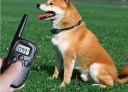 Remote Pet Training Collar with LCD Display  Range up to 300 Meters