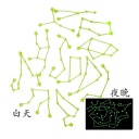 Full House luminous paste / bedroom wall stickers / ceiling paste twelve constellations