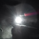 CREE XR-E Q5 3W 228 Lumens 350~1000mA LED Emitter Flashlight Parts