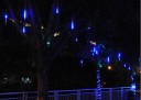 christmas light