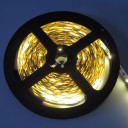 3528 LED Light,Warm White ,300led/5m