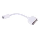 Brandportable Mini DVI to VGA converter/Adapter for Apple MacBook