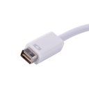 Brandportable Mini DVI to VGA converter/Adapter for Apple MacBook