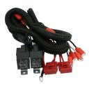 DC 12V Car H1 HID Xenon Conversion Kit 80A Relay Wiring Harness 30A Fuse