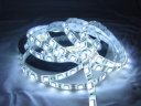 5050 300led 5meters IP65 waterproof white light led smd strip light