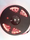 Auto Car 5m Long Red 300 1210 SMD LED Light Flexible Lamp Strip