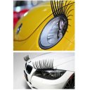 Universal Black CarLashes for VW, Honda, Lexus, Toyota, Dodge, Chevy, Acura