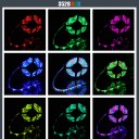 5 10M 3528  SMD RGB Flexible 300/600 LED Light Strip + Remote + Power Supply
