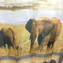 Animal World Family Stylish Bathroom Shower Curtain Ring Pull Easy To Install