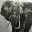 Shower Curtain Natural World Elephant Shower Bathroom Waterproof Polyester