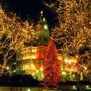 10m 100pcs Outdoor LED Light String Lights-EU Yellow Christmas Xmas Decoration